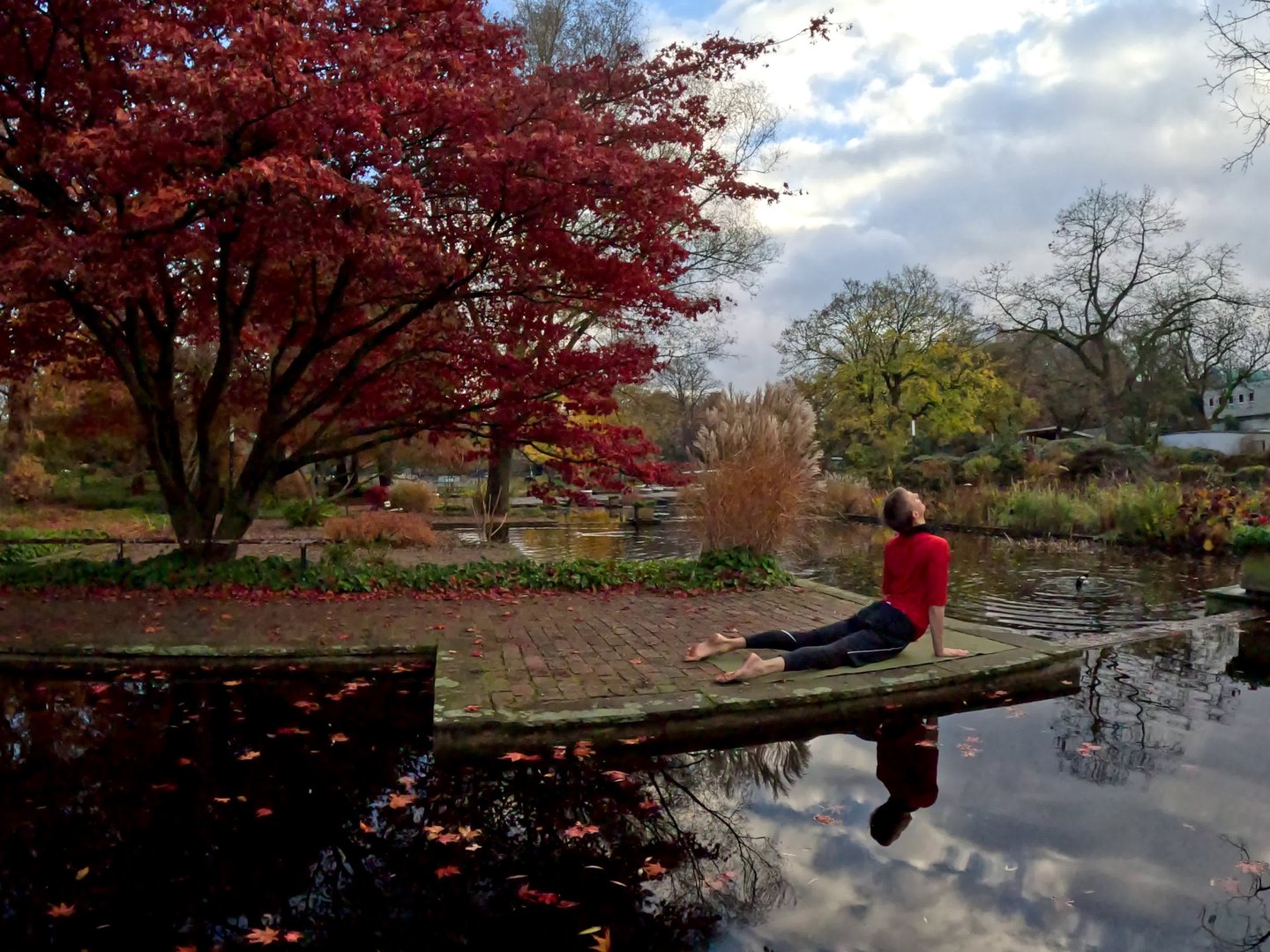 A person in a park in Hamburg performing pose of upward-facing dog, mirroring in the nearby pond.